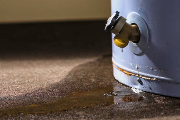 Best Flood restoration services  in Bonner West Riverside, MT