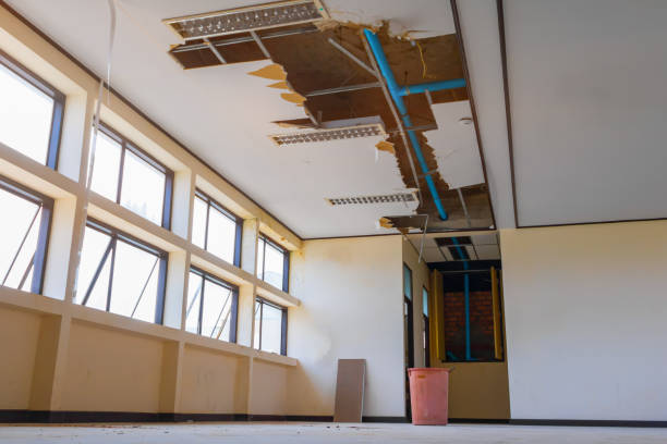 Best Basement water damage restoration  in Bonner West Riverside, MT