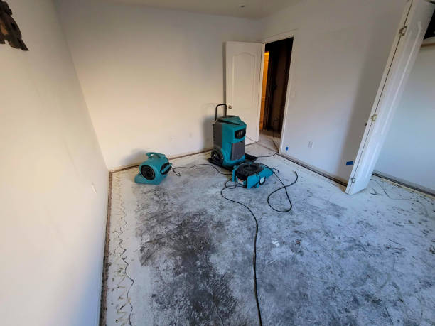  Bonner West Riverside, MT Water damage restoration Pros