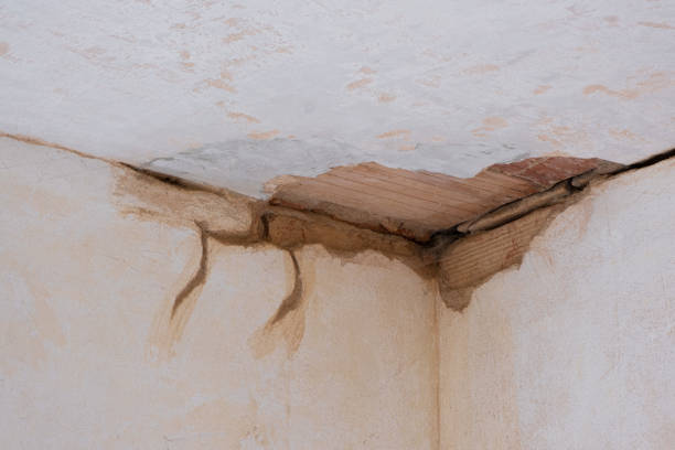 Best Sewage cleanup and water damage restoration  in Bonner West Riverside, MT