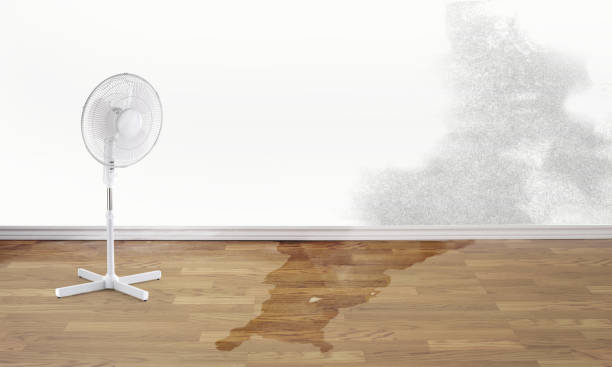 Water damage restoration process in MT