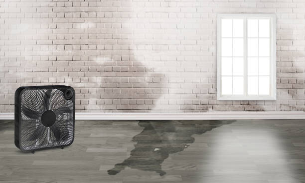 Best Flood restoration services  in Bonner West Riverside, MT
