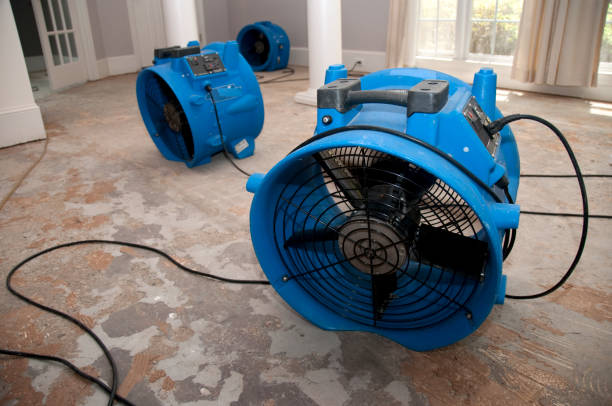 Best Flooded house restoration  in Bonner West Riverside, MT