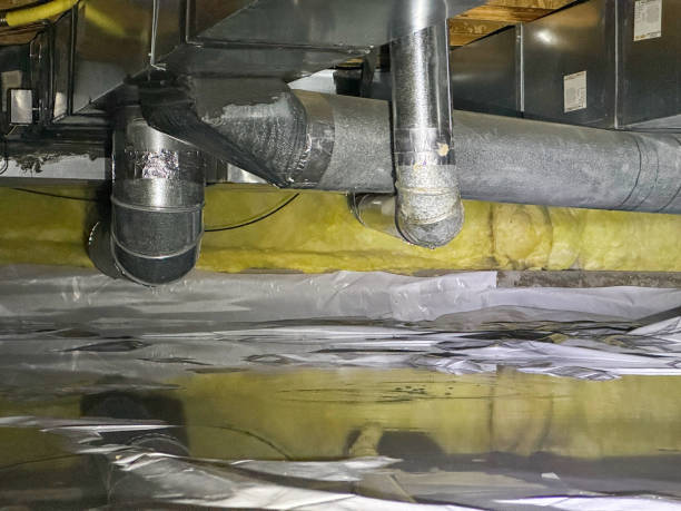 Best Carpet water damage restoration  in Bonner West Riverside, MT