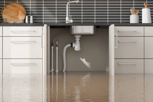 Best Water damage restoration near me  in Bonner West Riverside, MT