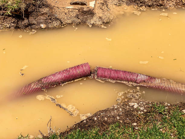Best Water damage restoration near me  in Bonner West Riverside, MT