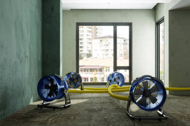 Best Sewage cleanup and water damage restoration  in Bonner West Riverside, MT