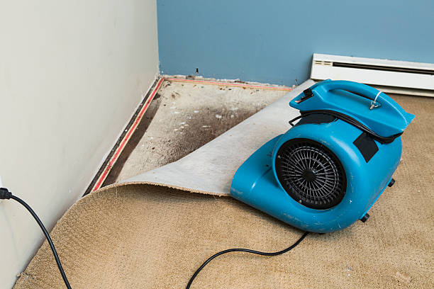 Best Water damage restoration process  in Bonner West Riverside, MT